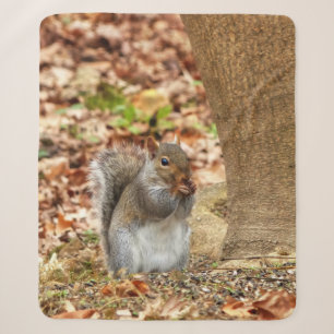Hungry Squirrel Sherpa Blanket