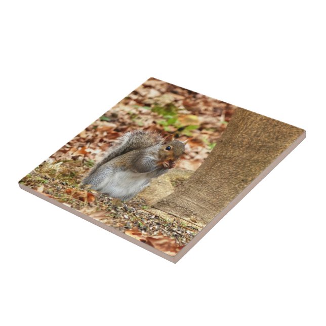 Hungry Squirrel Tile (Side)