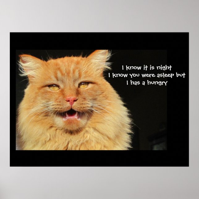Hungry Talking Cat  haiku Poster (Front)