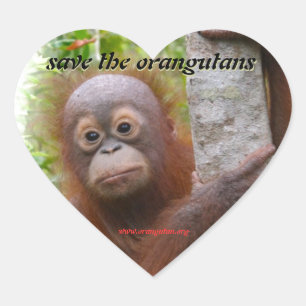 Hunt, a new orangutan orphan heart sticker