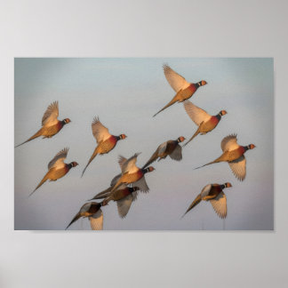 Hunt begin season bounty hunter poster