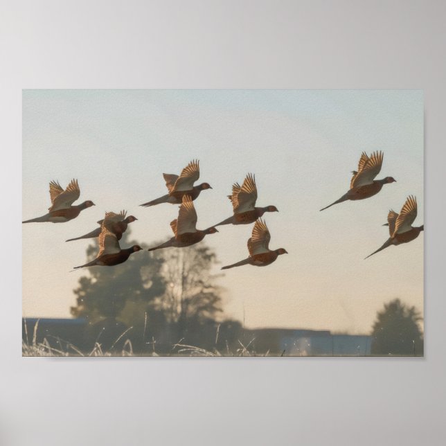 Hunt begin season bounty hunter poster (Front)