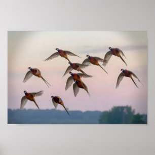 Hunt begin season bounty hunter poster