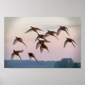 Hunt begin season bounty hunter poster