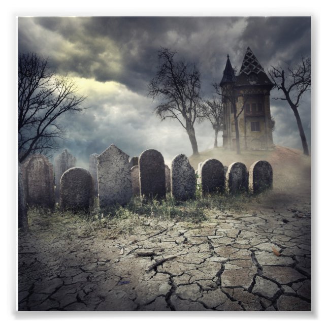 Hunted House Photo Print (Front)