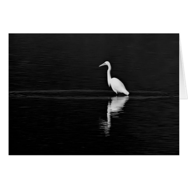 Hunter (Front Horizontal)