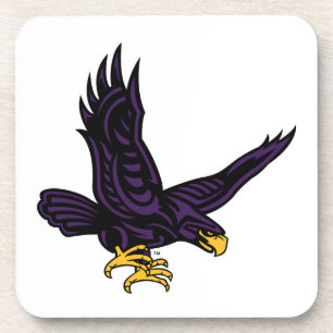 Hunter College Hawk Coaster