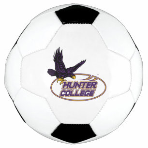 Hunter College Hawks Mascot Football