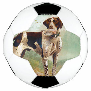 Hunter dog with bird in mouth football