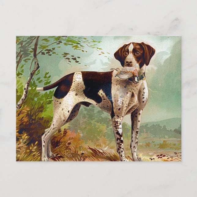 Hunter dog with bird in mouth holiday postcard (Front)