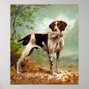 Hunter dog with bird in mouth poster