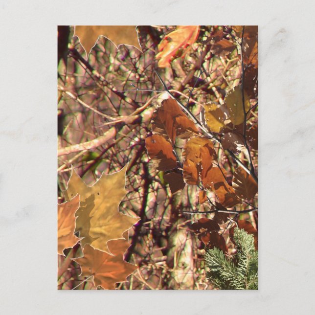 Hunter Forest Camouflage Painting Customise This Postcard (Front)