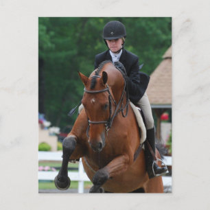 Hunter Horse Show Postcards