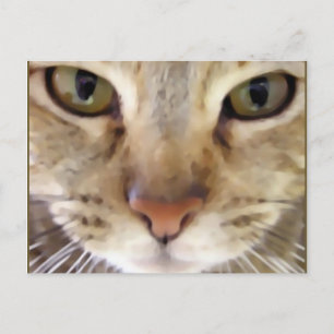 Hunter Postcard