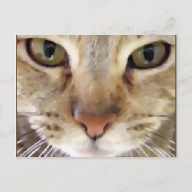 Hunter Postcard (Front)