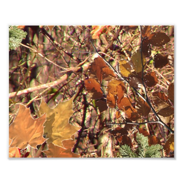 Hunter's Camo Camouflage Painting Customise This! Photo Print (Front)