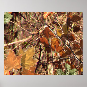 Hunter's Camo Camouflage Painting Customise This! Poster