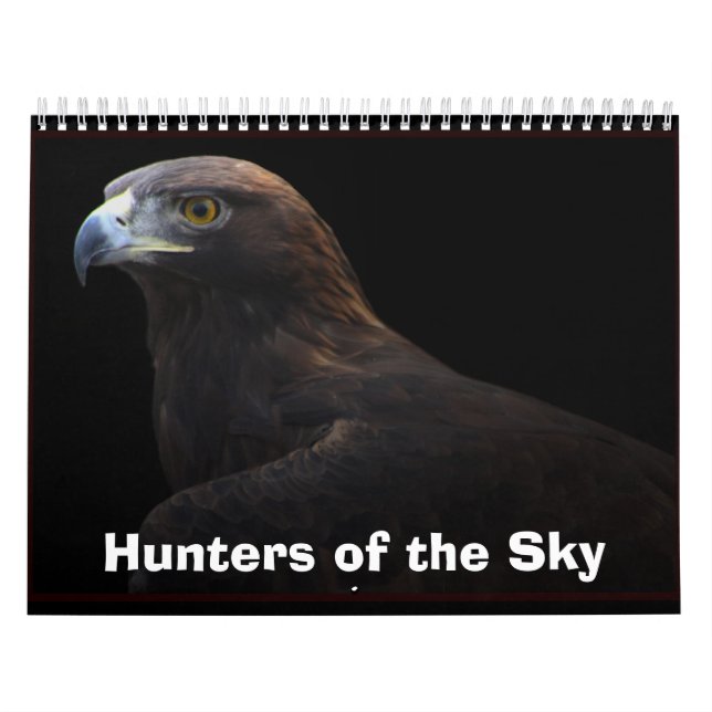 Hunters of the Sky Calendar (Cover)