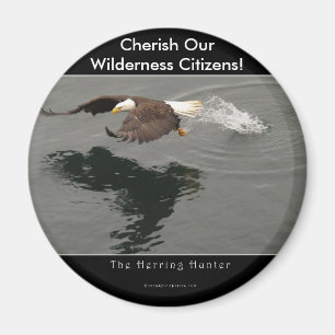 Hunting Bald Eagle Gift Item Magnet