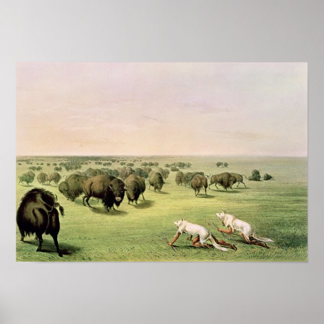 Hunting Buffalo Camouflaged Poster (Front)