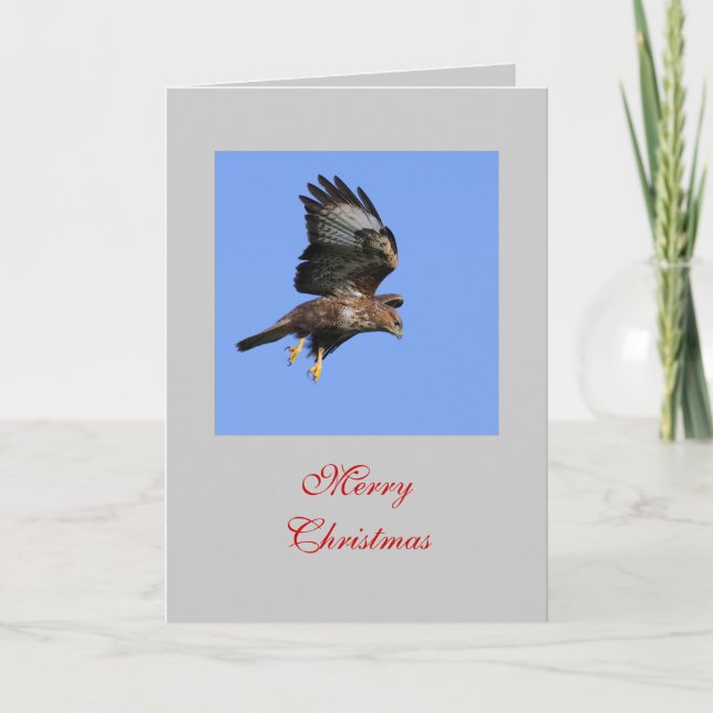 Hunting Buzzard Card (Front)