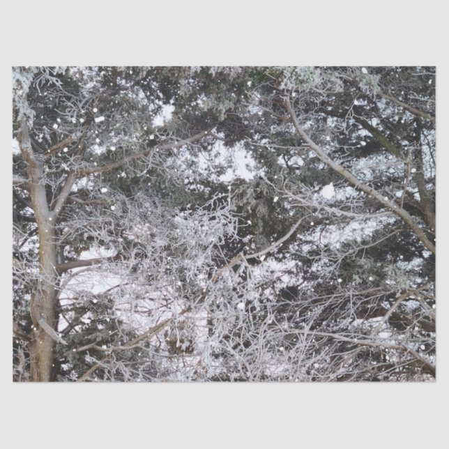 Hunting Camouflage Snow Pattern 4 Tissue Paper (Front)