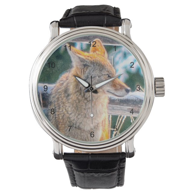 Hunting Coyote and Winter Snow Wildlife Watch (Front)