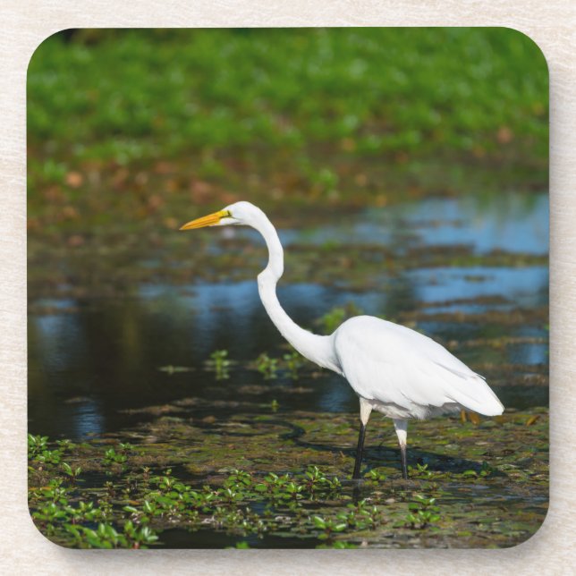 Hunting Egret Coaster (Front)