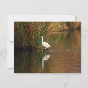 Hunting Egret Invitation