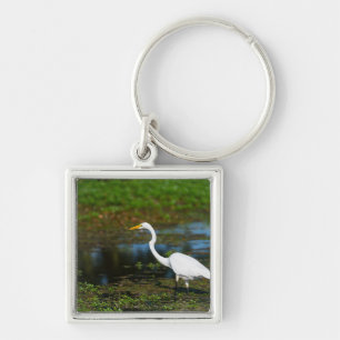 Hunting Egret Key Ring