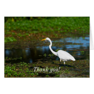 Hunting Egret Thank You Card