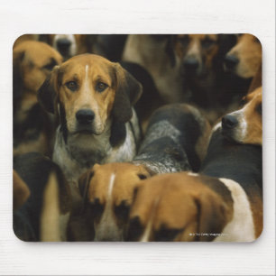 Hunting foxhounds, Galway Blazers, Ireland Mouse Mat