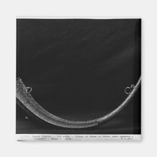 Hunting Horn belonging to Francois I Magnet