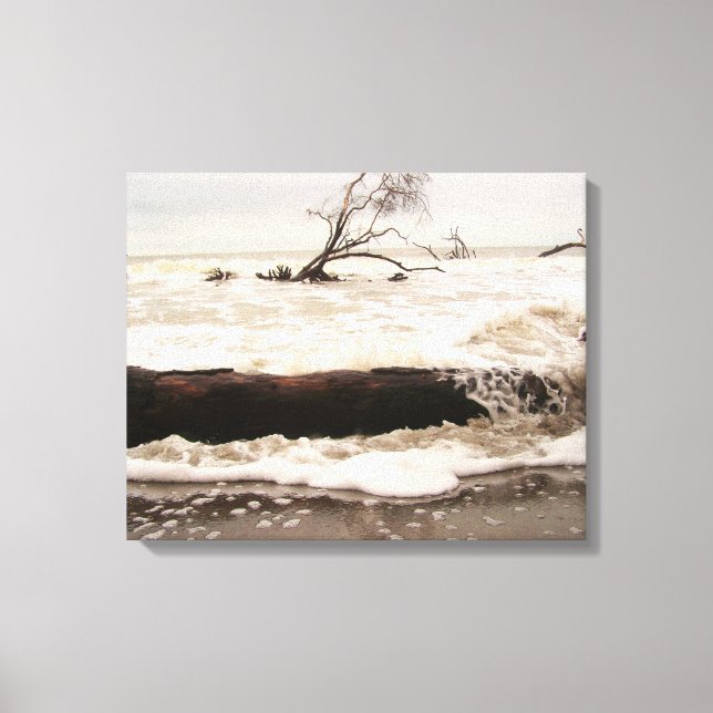 Hunting Island State Park Canvas Print (Front)
