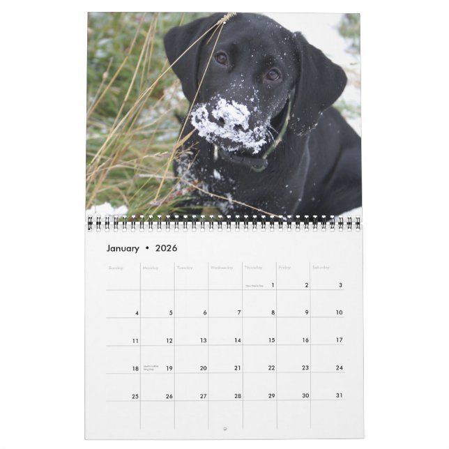 Hunting Labs Calendar (Jan 2026)