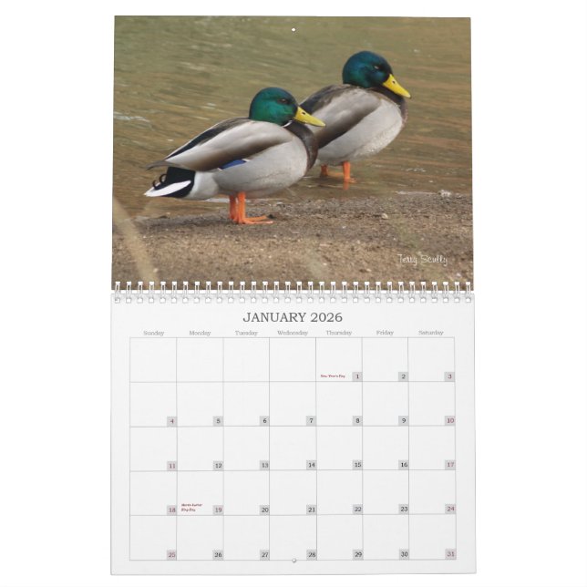 Hunting Mallard Ducks Calendar (Jan 2026)