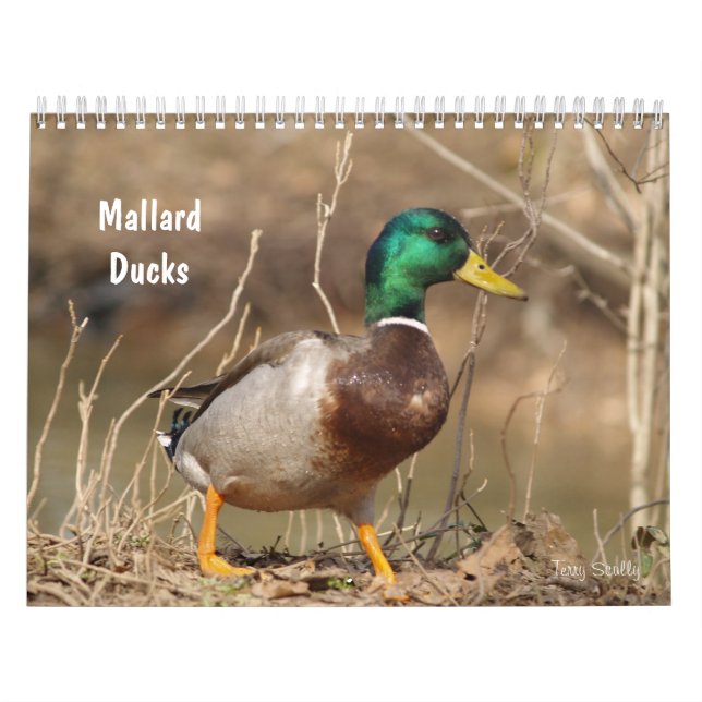 Hunting Mallard Ducks Calendar (Cover)