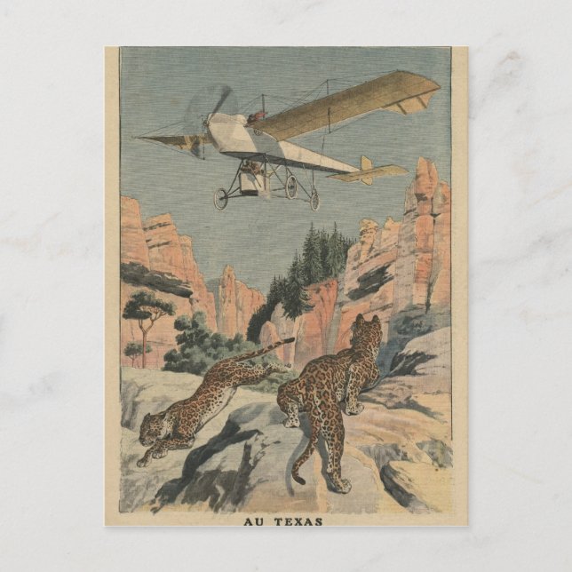 Hunting panthers from an aeroplane in Texas Postcard (Front)