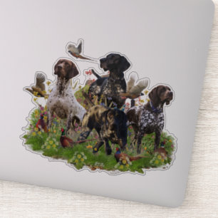 Hunting pheasant  with GSP  sticker