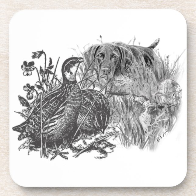 Hunting  quail with hunting dog   coaster (Front)