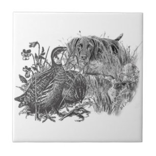 Hunting  quail with hunting dog   tile
