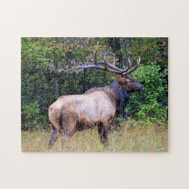 Hunting Season - Bull Elk - 11x14 inch Jigsaw Puzzle (Horizontal)