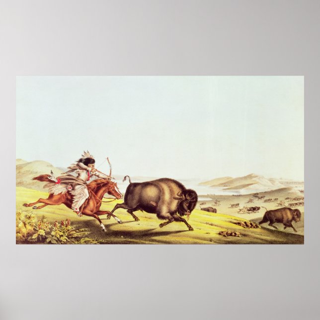 Hunting the Buffalo Poster (Front)