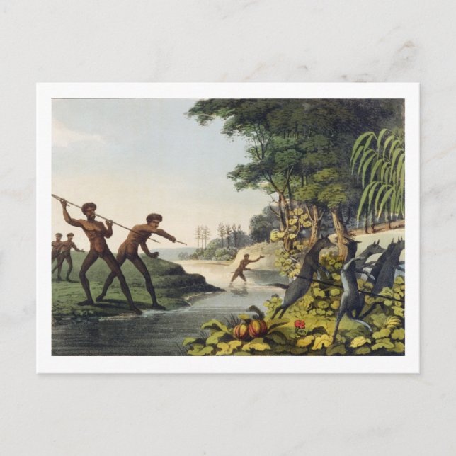 Hunting the Kangaroo, aborigines in New South Wale Postcard (Front)