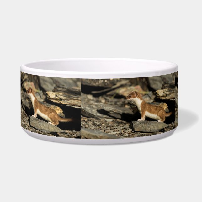 Hunting Weasel (Left)