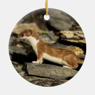 Hunting Weasel Ceramic Tree Decoration