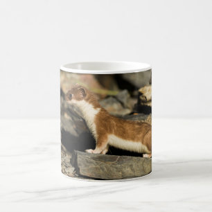 Hunting Weasel Coffee Mug