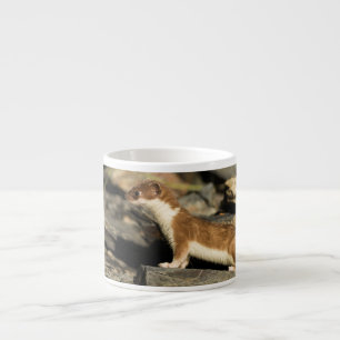 Hunting Weasel Espresso Cup