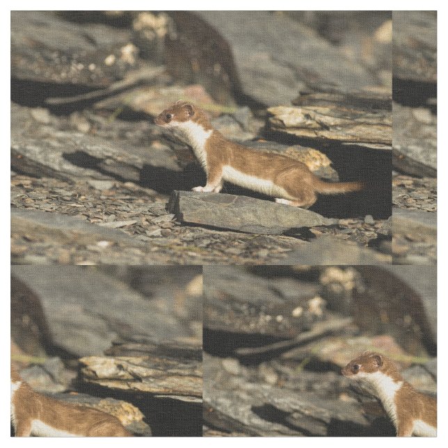 Hunting Weasel Fabric (Close Up)