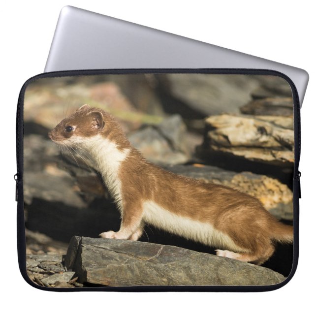 Hunting Weasel Laptop Sleeve (Front)